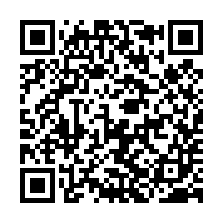 QR code for IJS483