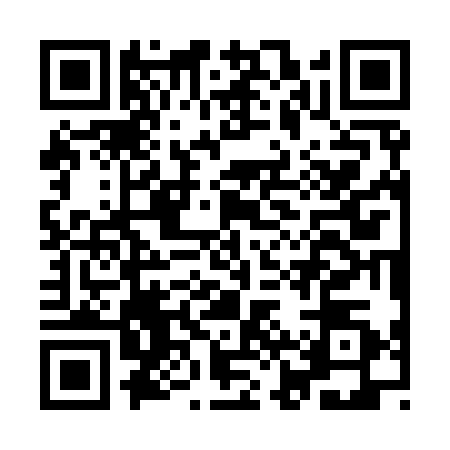 QR code for IJS9308