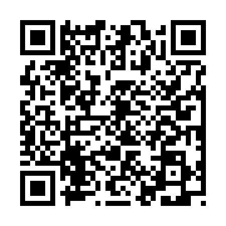 QR code for IJW6385