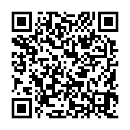QR code for IJY381