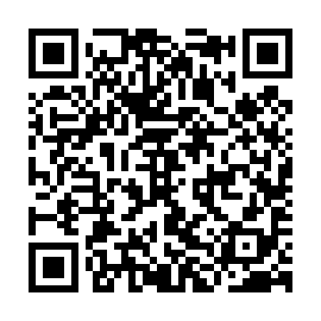 QR code for ILV498