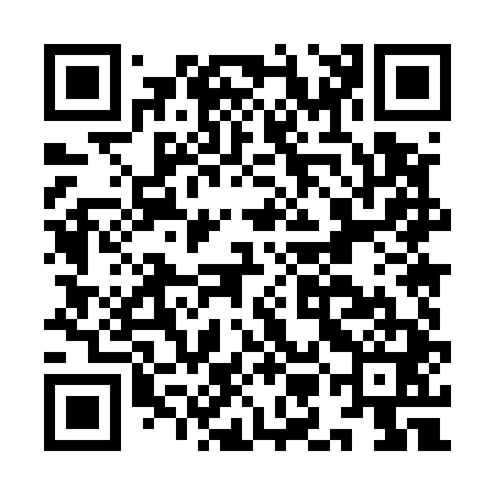 QR code for IMM541
