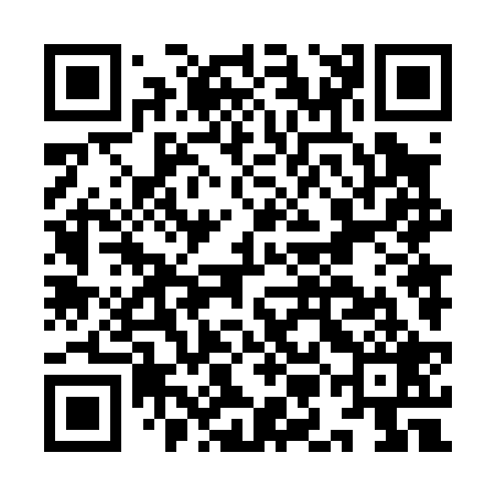 QR code for IMN029