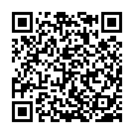 QR code for INA539