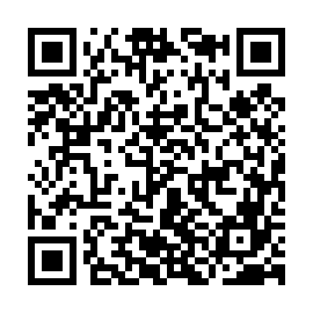 QR code for INE466