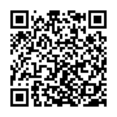 QR code for INI339