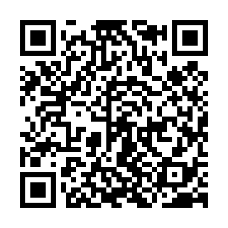 QR code for INI438