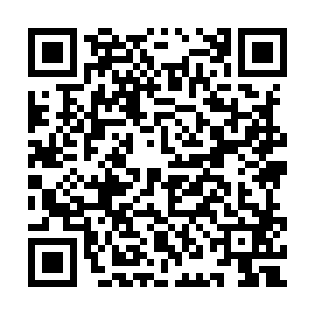 QR code for INI9828