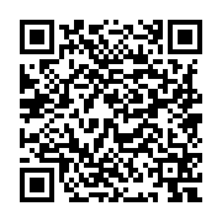 QR code for INP9641