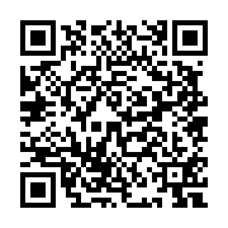 QR code for INZ4119