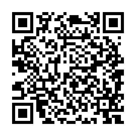QR code for ION2979
