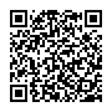 QR code for IPL919