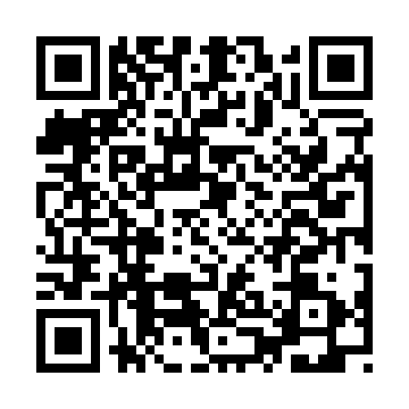 QR code for IPN0317