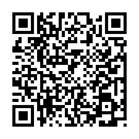 QR code for IPV4667