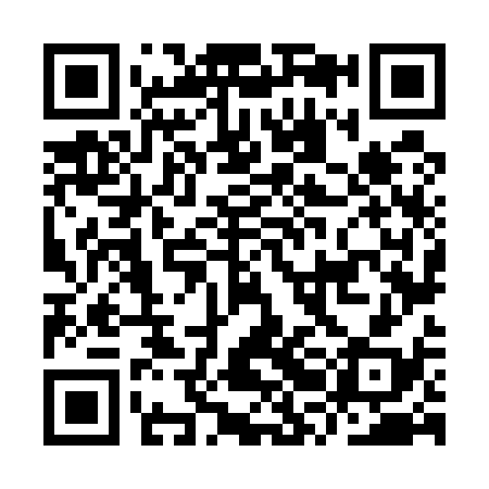 QR code for IRN538