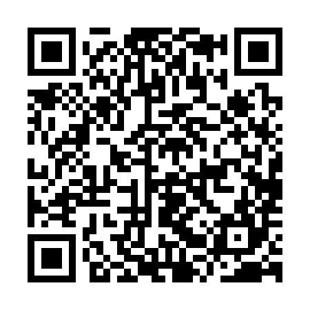 QR code for IRP384