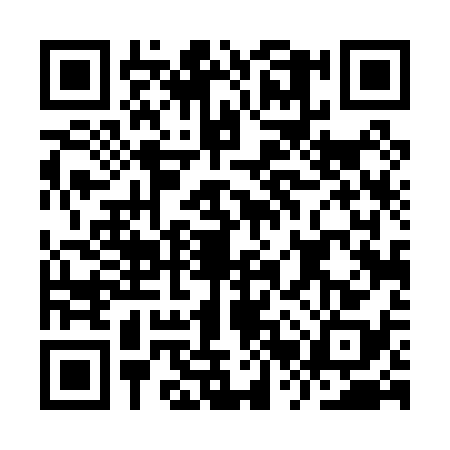 QR code for IRT0385