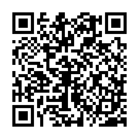 QR code for IRZ3833