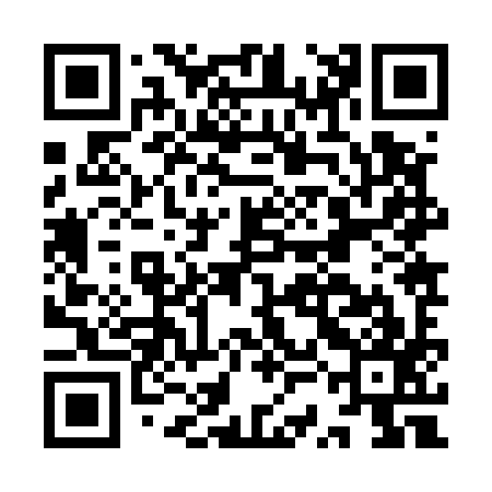 QR code for ISJ597