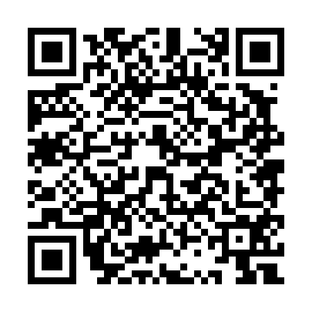 QR code for ISN4546