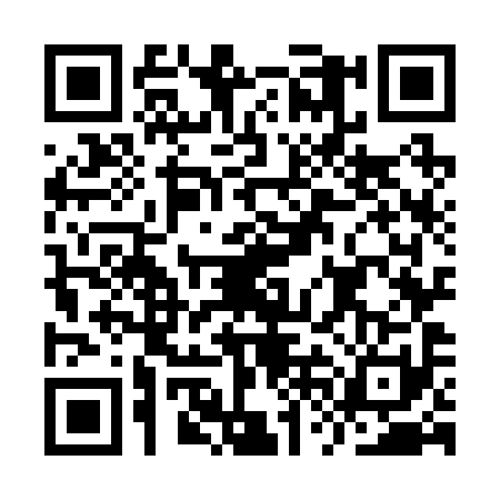 QR code for IVO2913