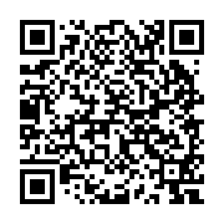 QR code for IVP290
