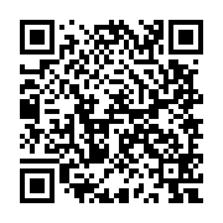 QR code for IVZ599