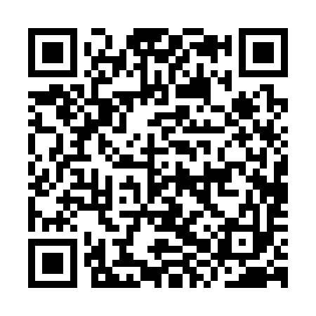 QR code for IXP393