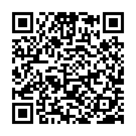 QR code for JAL289