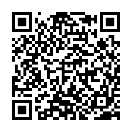 QR code for JIA317