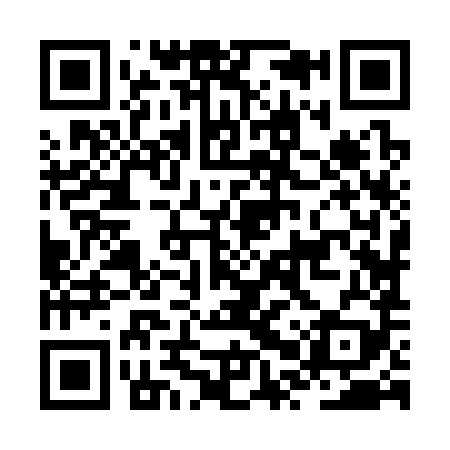 QR code for JPZ389