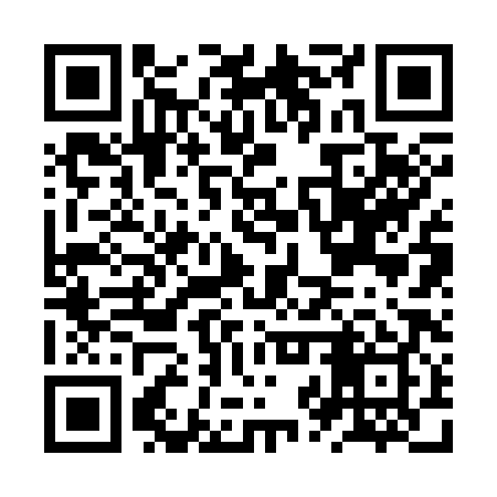 QR code for JZR389