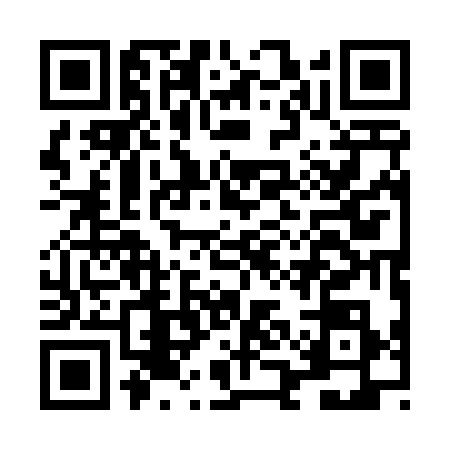 QR code for LAA4384