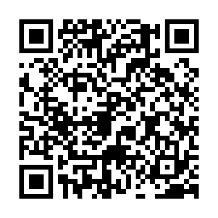 QR code for LAI1336