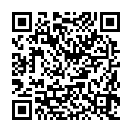 QR code for LAQ382
