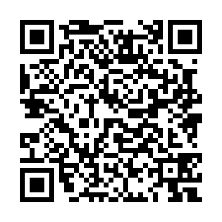 QR code for LAX0384