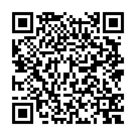 QR code for LAY4333