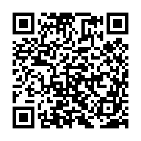 QR code for LAY462