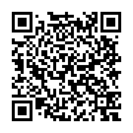 QR code for LAY539