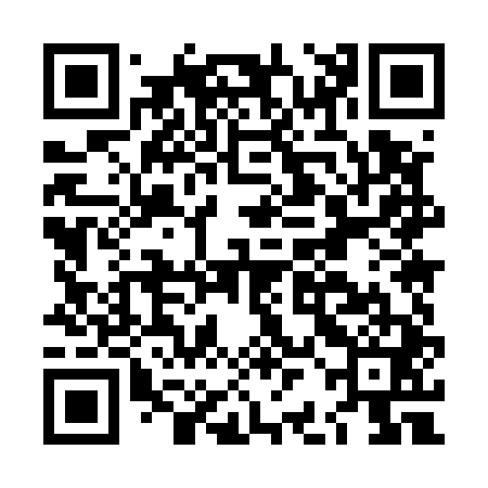 QR code for LBM541