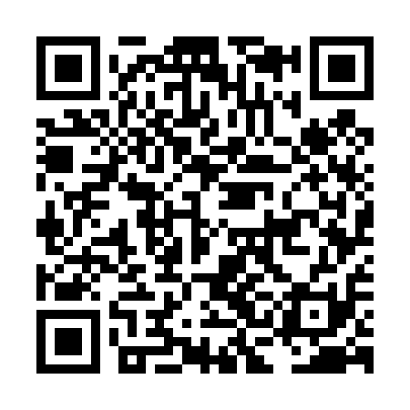 QR code for LCG411