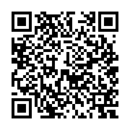 QR code for LDG3137
