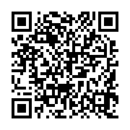 QR code for LDI295