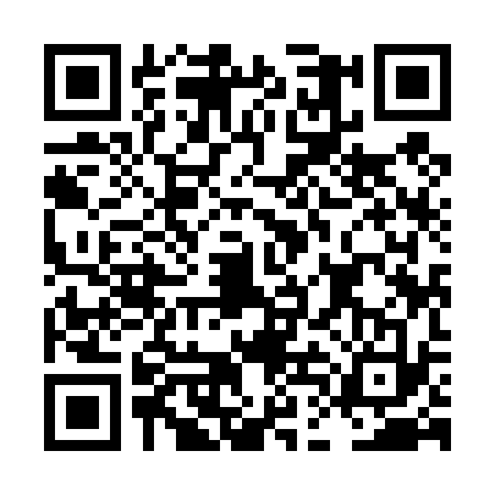 QR code for LDI4333
