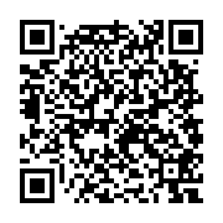 QR code for LDV508