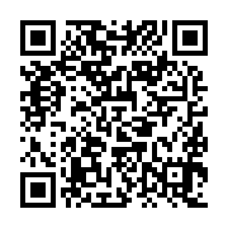 QR code for LDV995