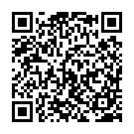 QR code for LDZ707