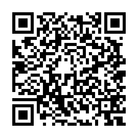 QR code for LEE4596