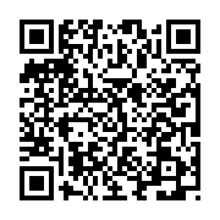 QR code for LEO5511