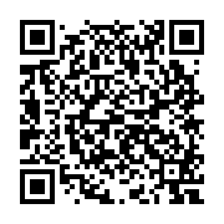 QR code for LFK381